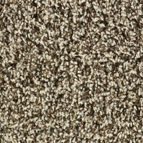 best vacuum for frieze carpet?