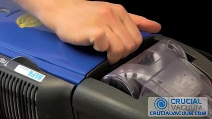 Hoover WindTunnel Y Replacemnt Bags UPC836301008564