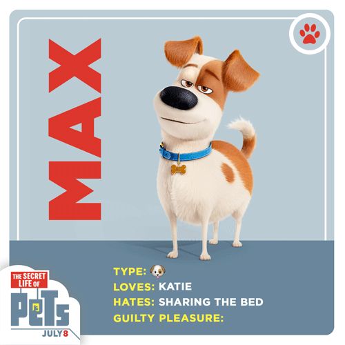 What’s your housekeeping secret with dogs?